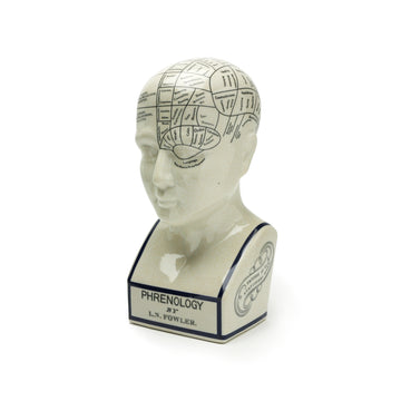 The Phrenology - L